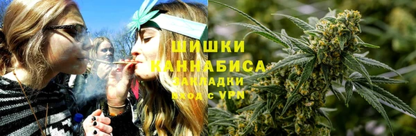 амф Богородицк