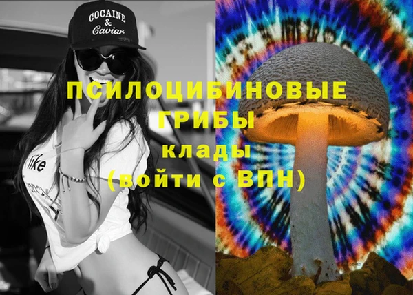 амф Богородицк