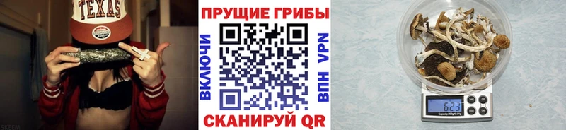 Псилоцибиновые грибы мицелий  Гусиноозёрск 