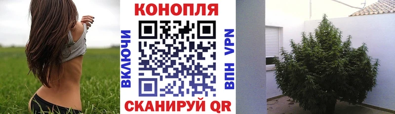 Бошки Шишки AK-47 купить наркотик Гусиноозёрск